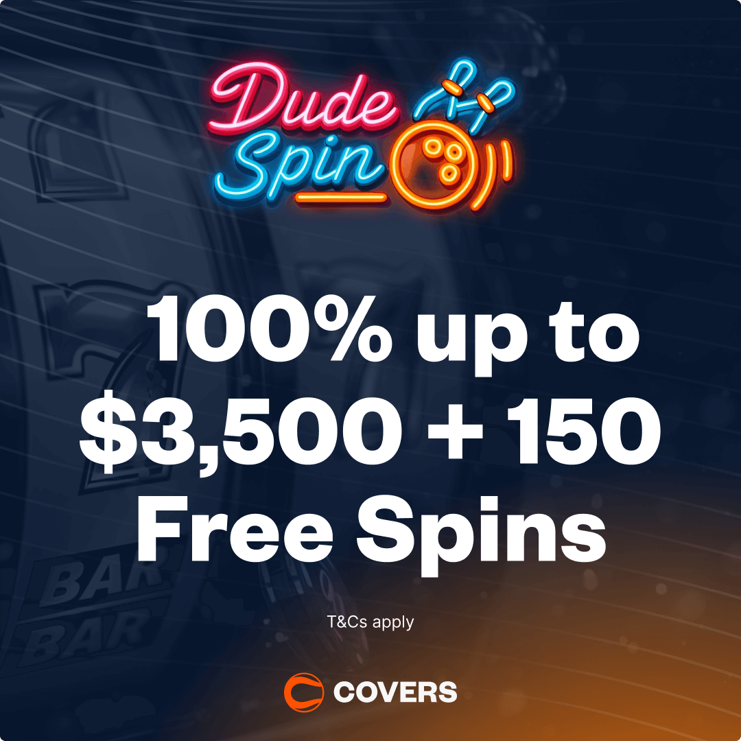 DudeSpin Casino Promotional Offer