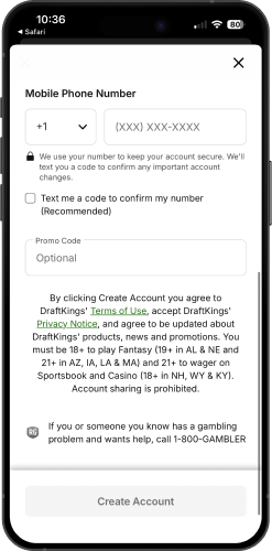 Screenshot of DraftKings Casino