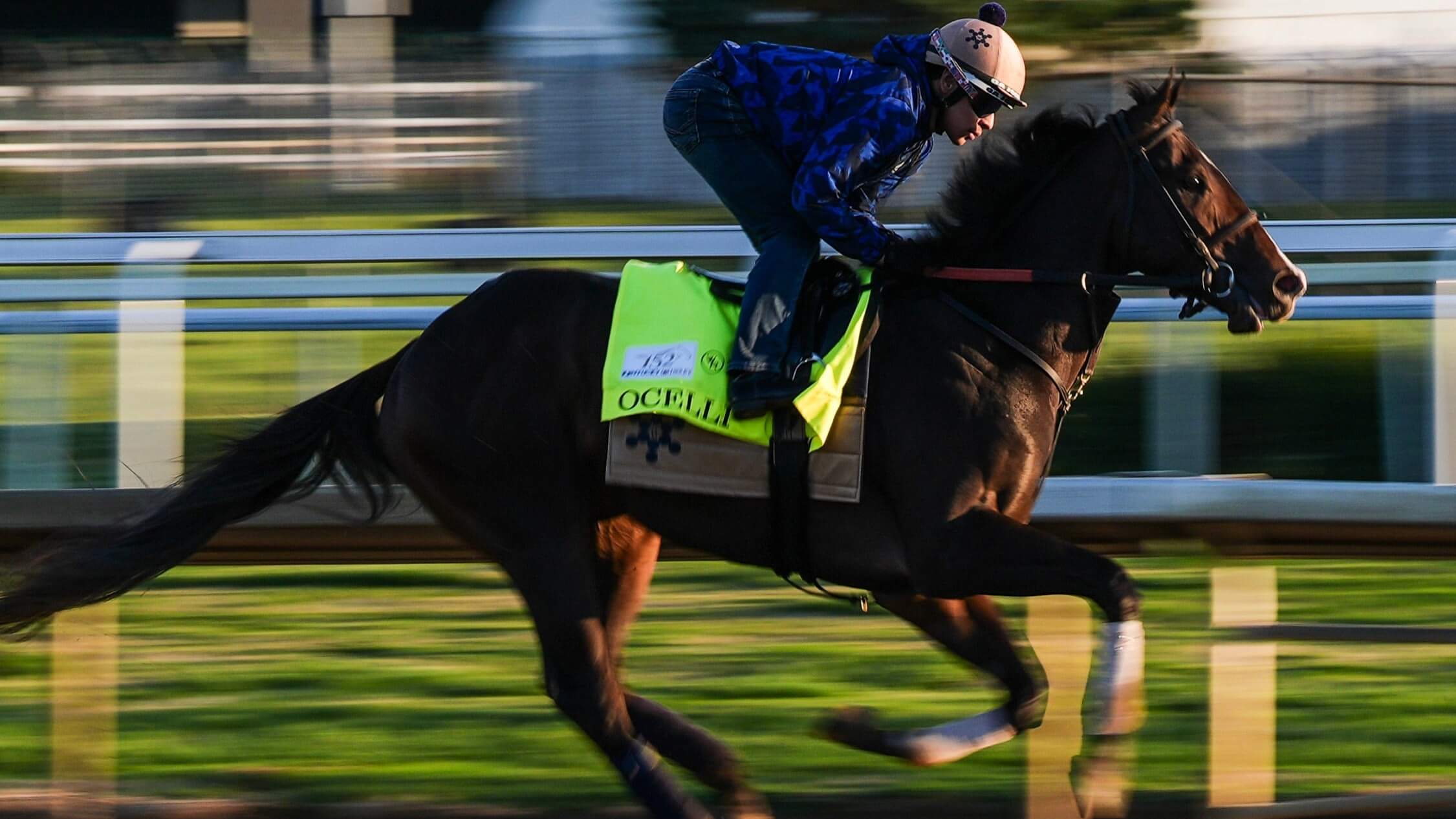 How To Bet - 2026 Kentucky Derby Payouts: Win, Place, Show Results