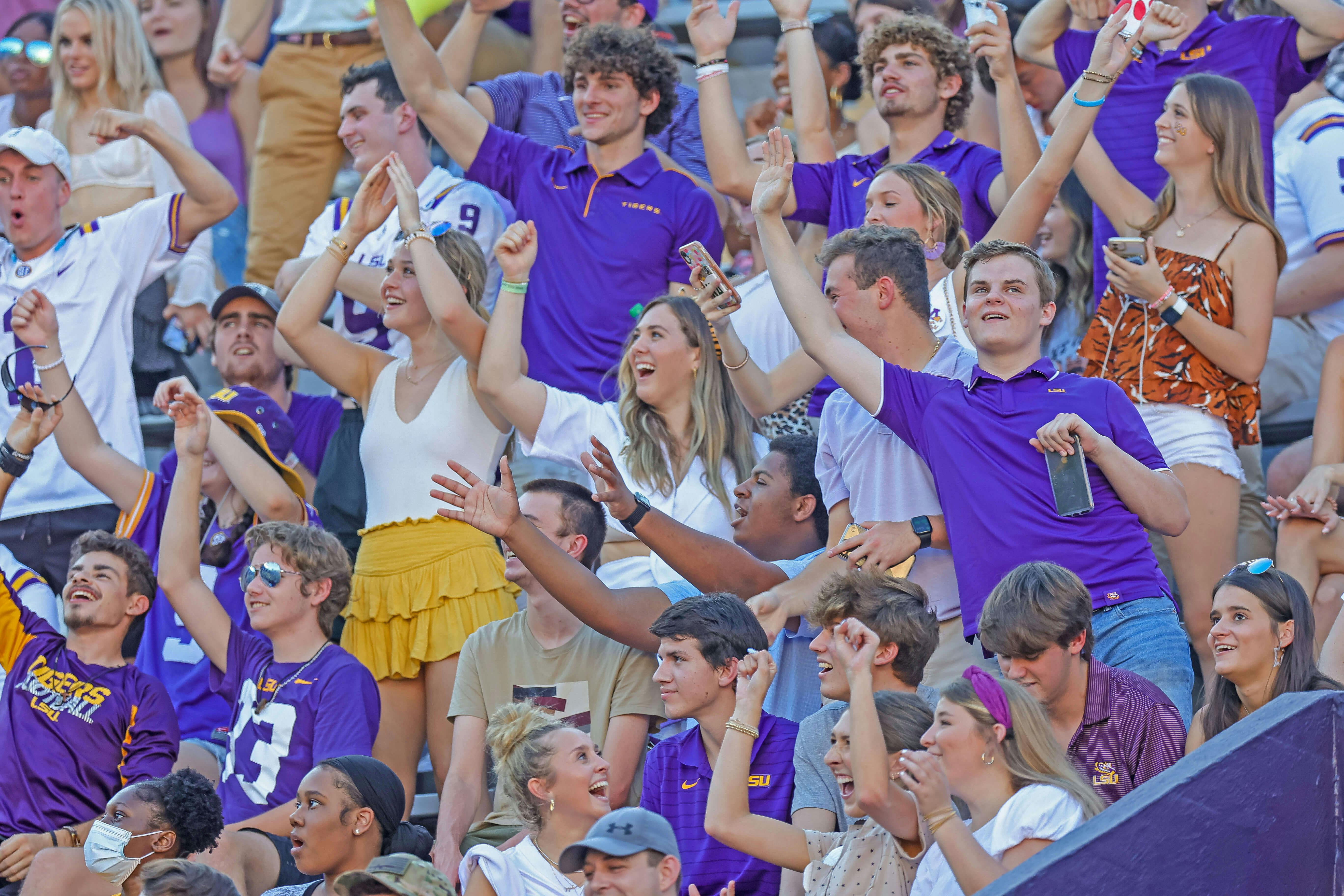 LSU Tigers Football Fans