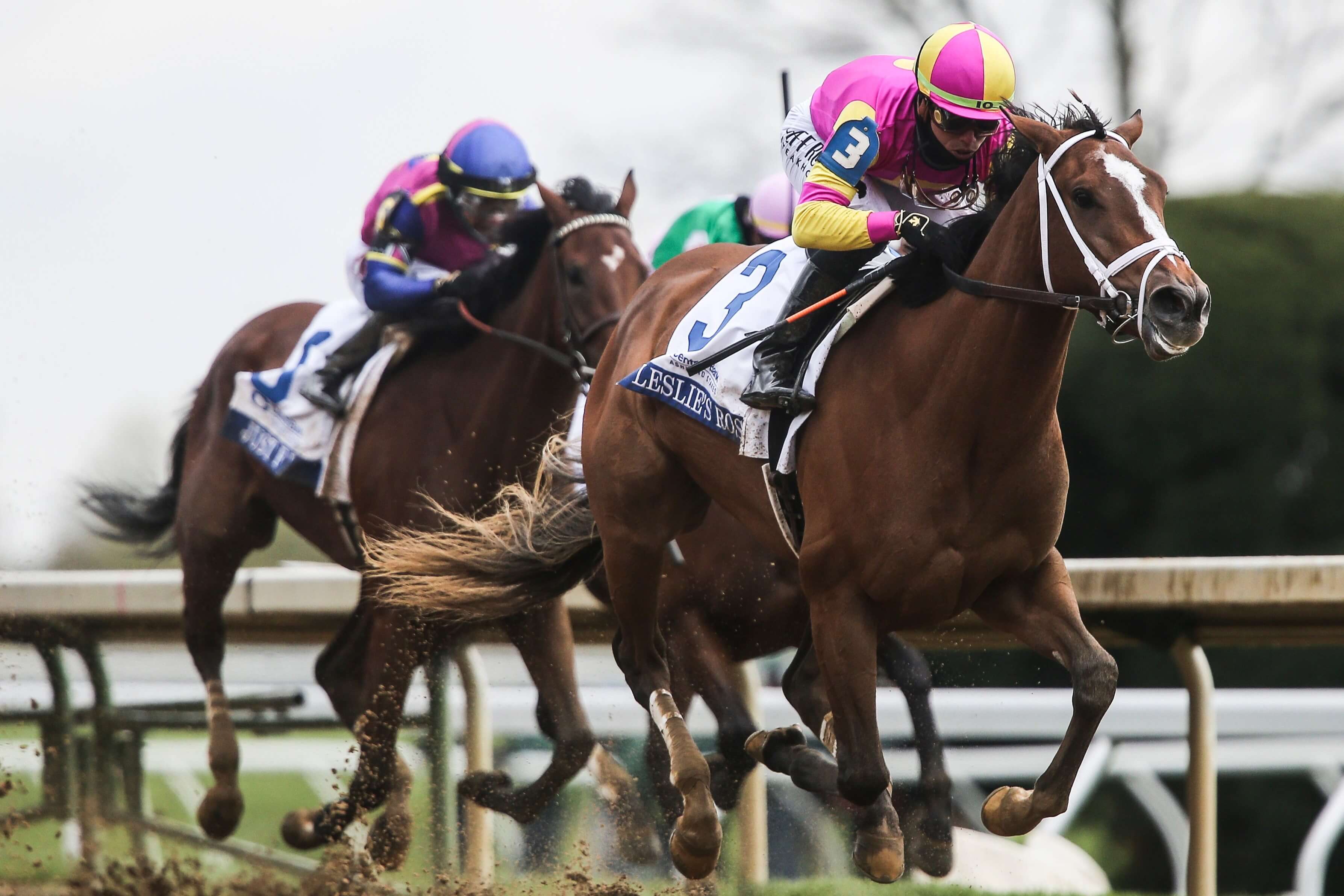 Kentucky Oaks Win, Place, and Show Picks and Predictions