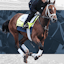 Kentucky Derby favorite Journalism.