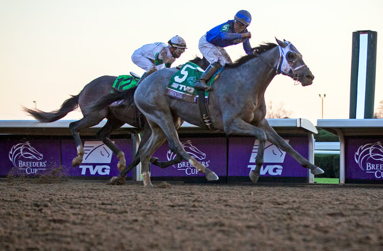 How To Bet - 2021 Belmont Stakes Action Report: Essential Quality Remains Solid Favorite