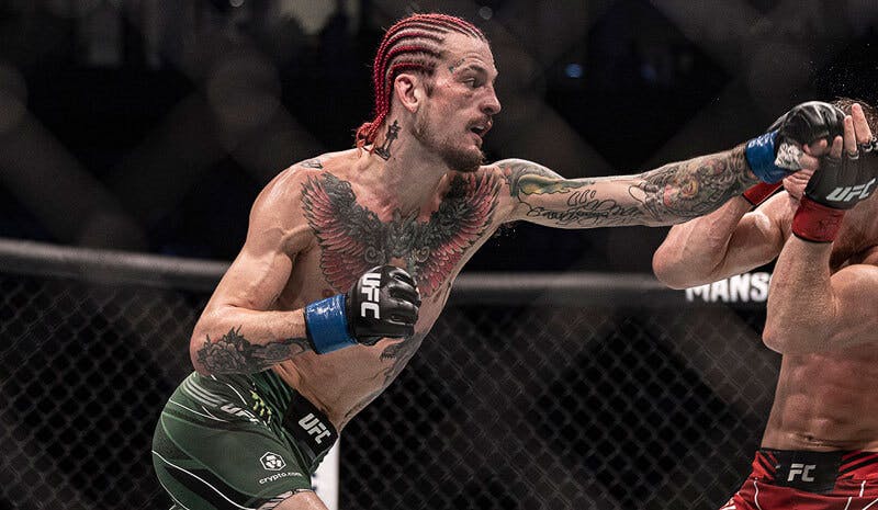 UFC 306: Sean O'Malley vs Merab Dvalishvili Picks, Predictions & Odds