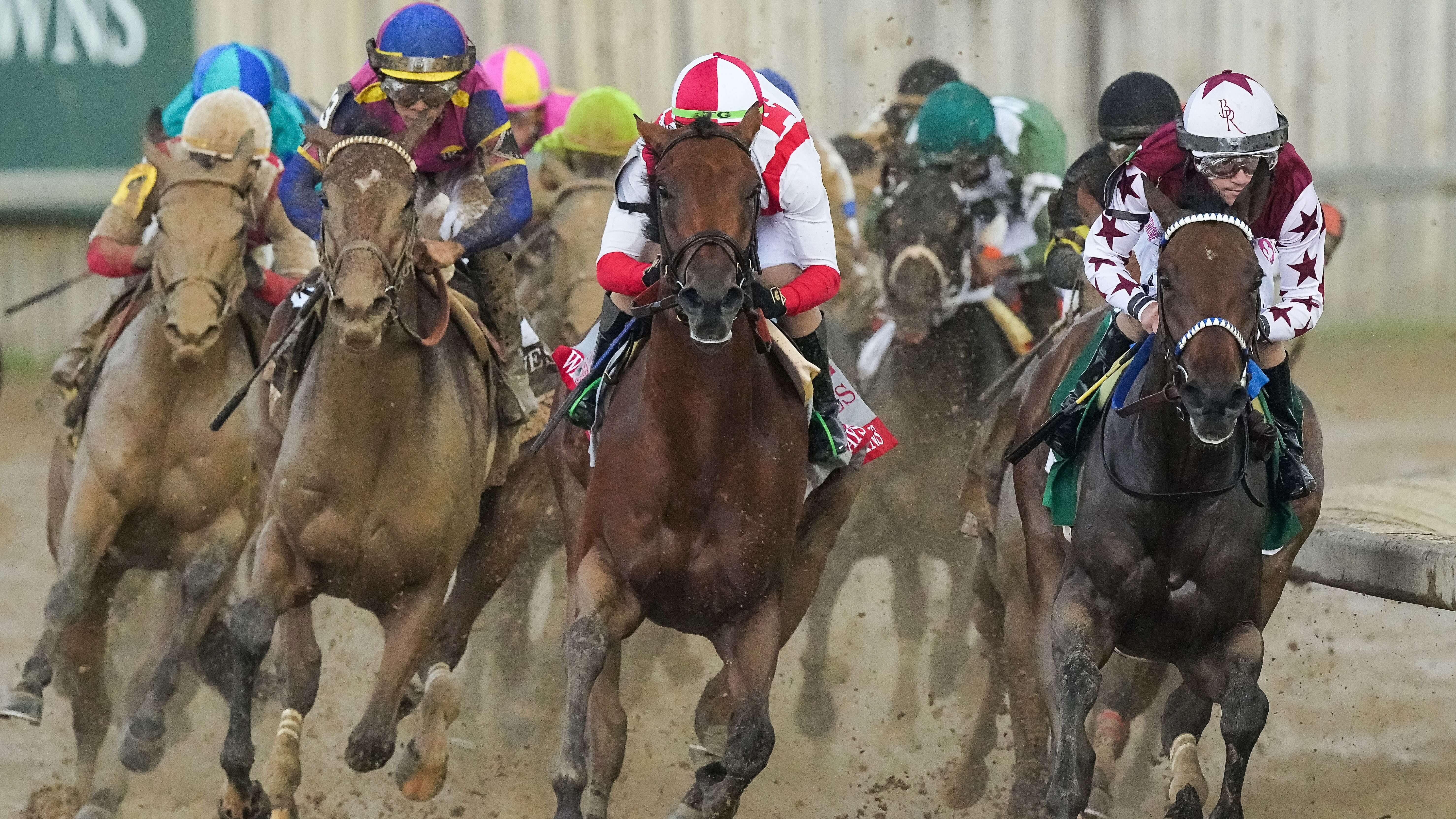 How To Bet - Road to the Kentucky Derby Picks & Best Bets for 2-15: Risen Star Stakes