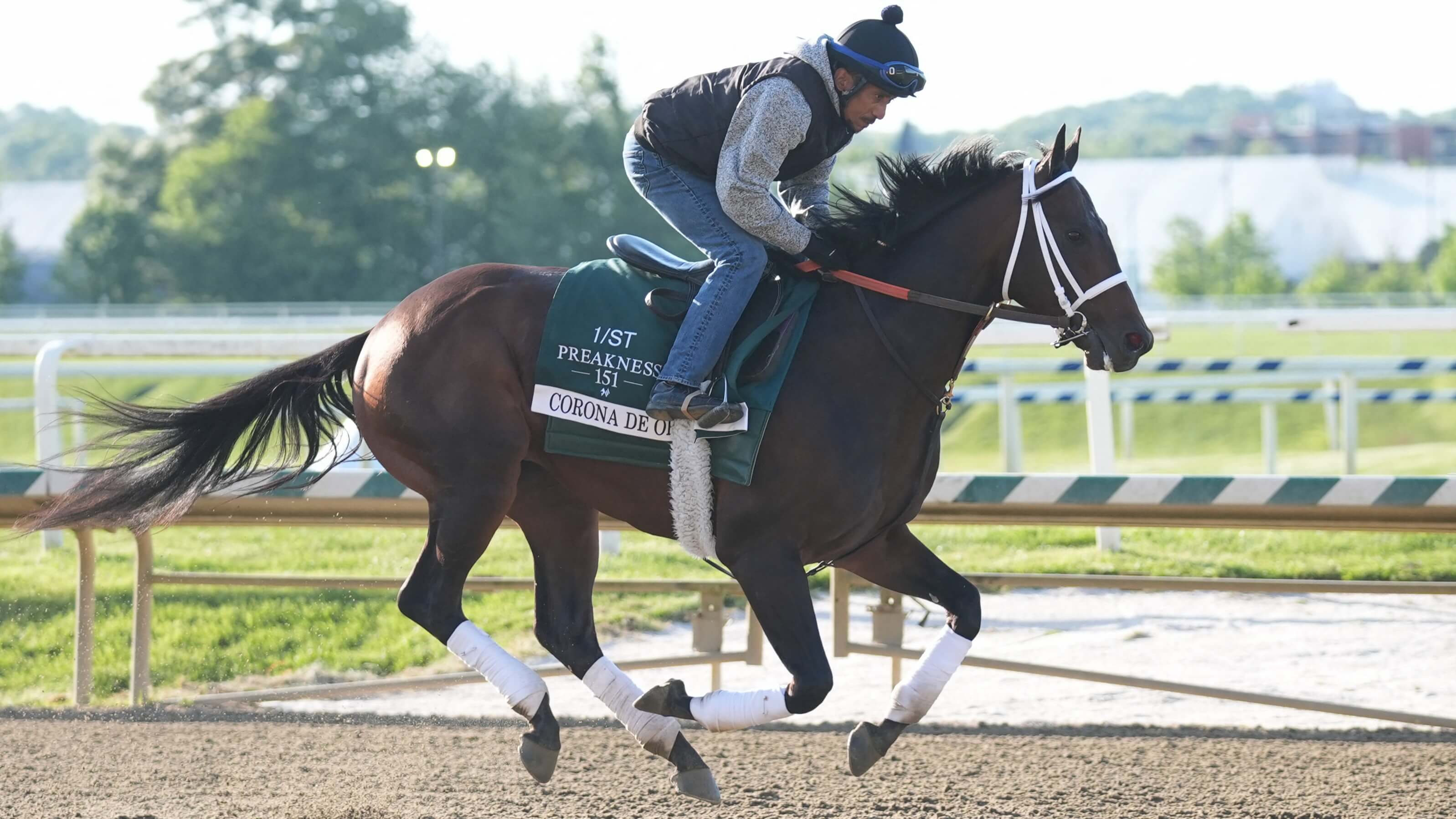 How To Bet - Preakness Stakes Long Shot Picks: Underdogs & Sleepers for 2026