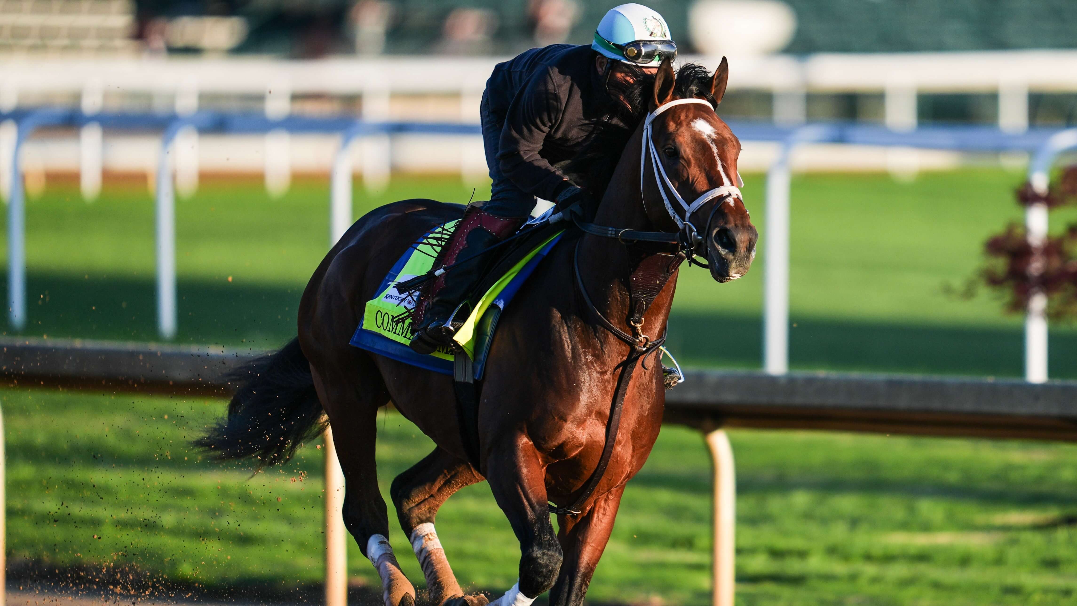 How To Bet - 2026 Belmont Stakes Horses: Meet the Field, Contenders for Third Leg of Triple Crown