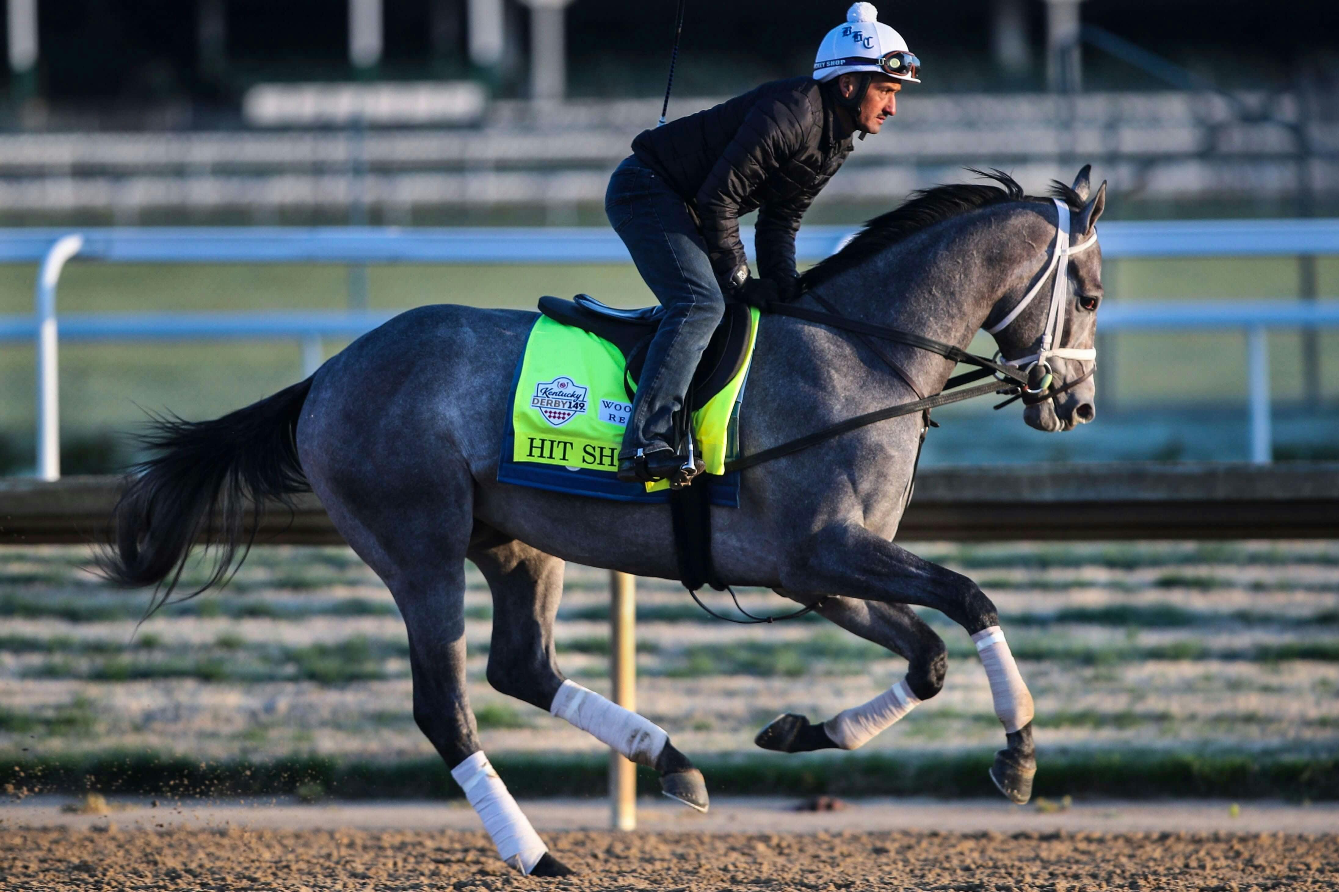 2023 Belmont Stakes 