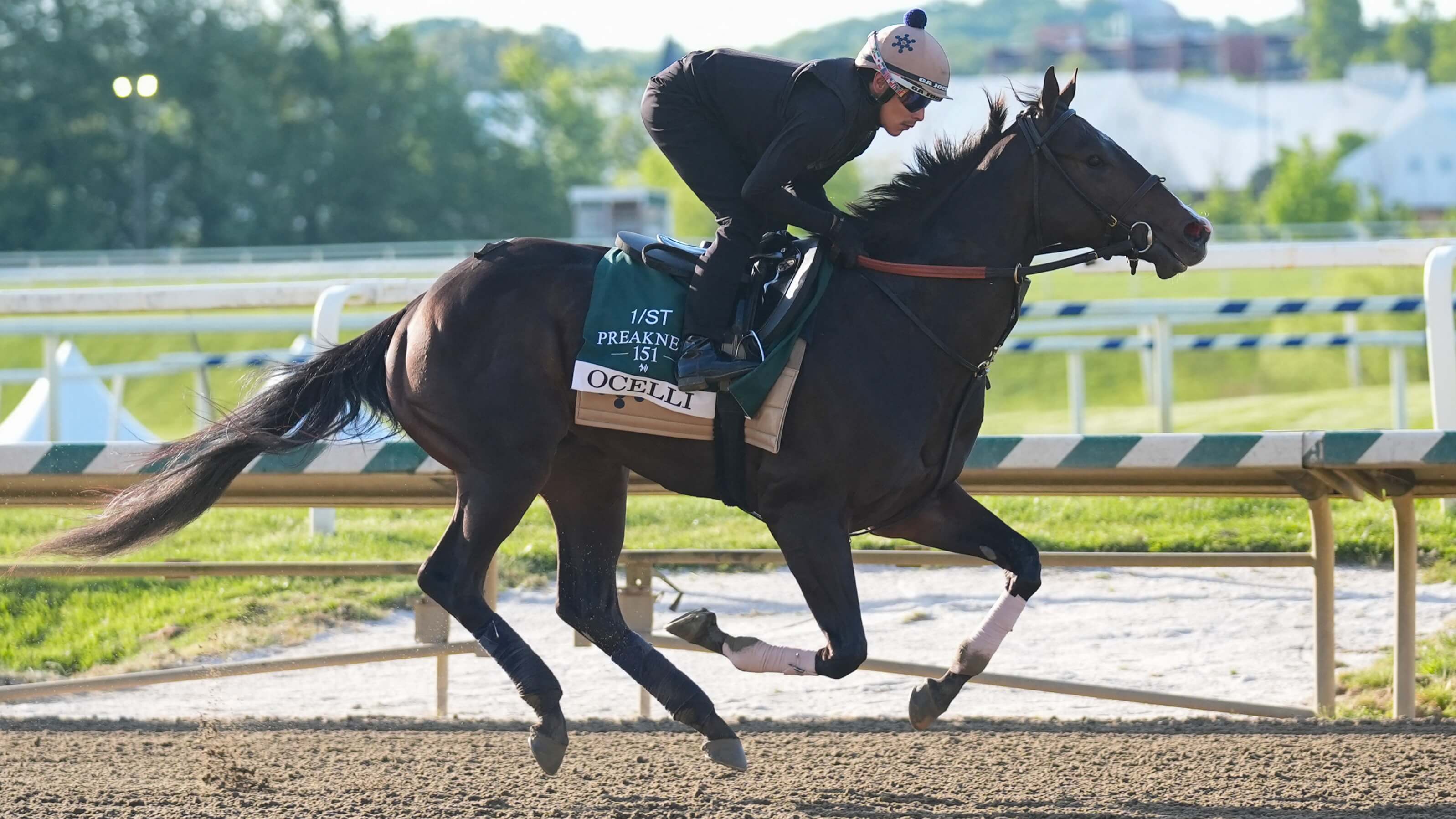 How To Bet - 2026 Preakness Stakes Post Positions: Official Field & Odds Set for Today's Race