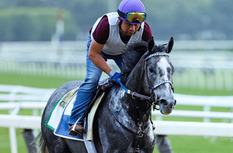 Belmont Stakes Picks: Which Horses Will Win, Place, and Show?