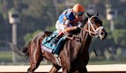 Breeders' Cup Odds: Sovereignty Scratched, Fierceness is New Classic Favorite