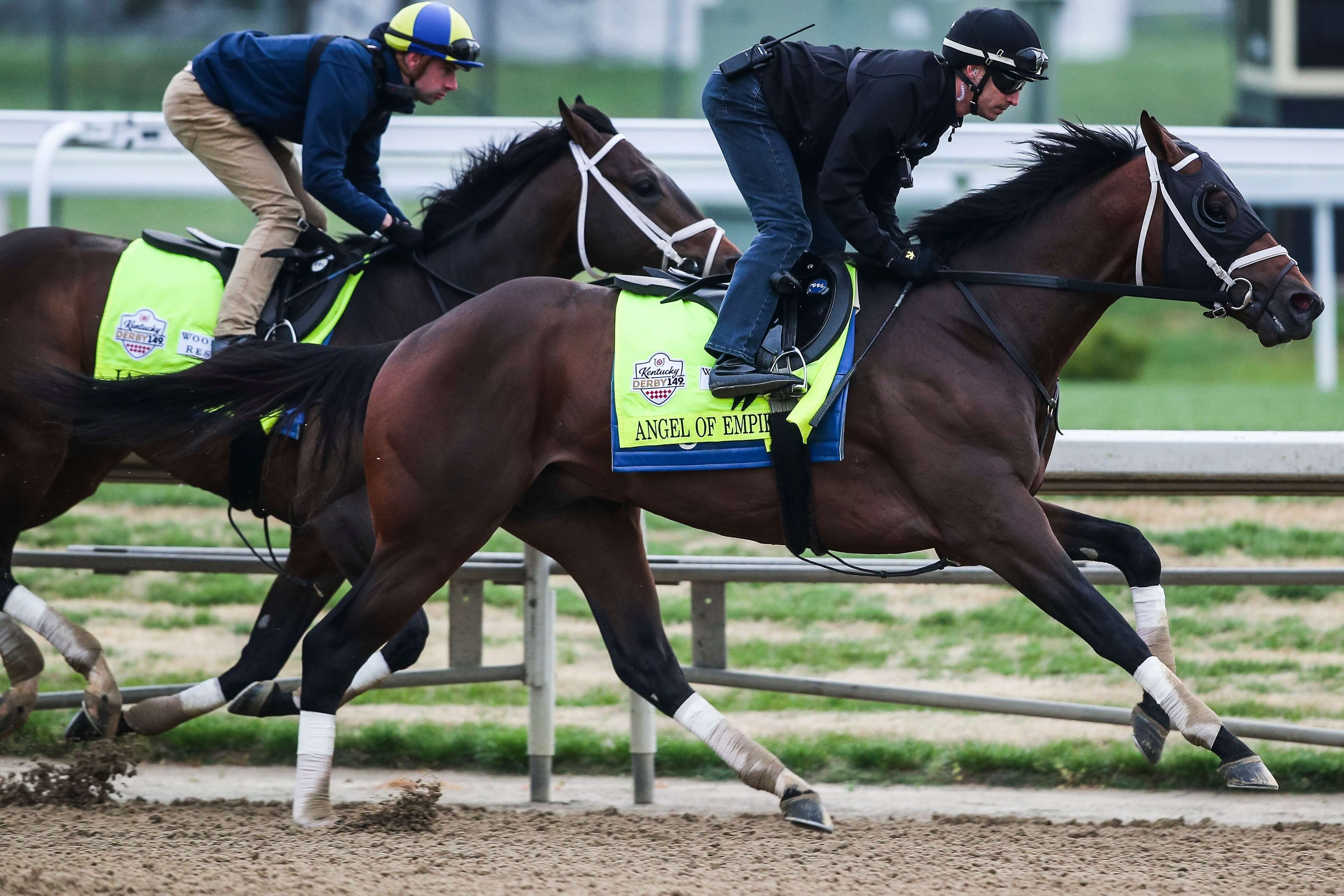 How To Bet - Belmont Stakes Horses Lineup: 2023 Field, Post Positions & More