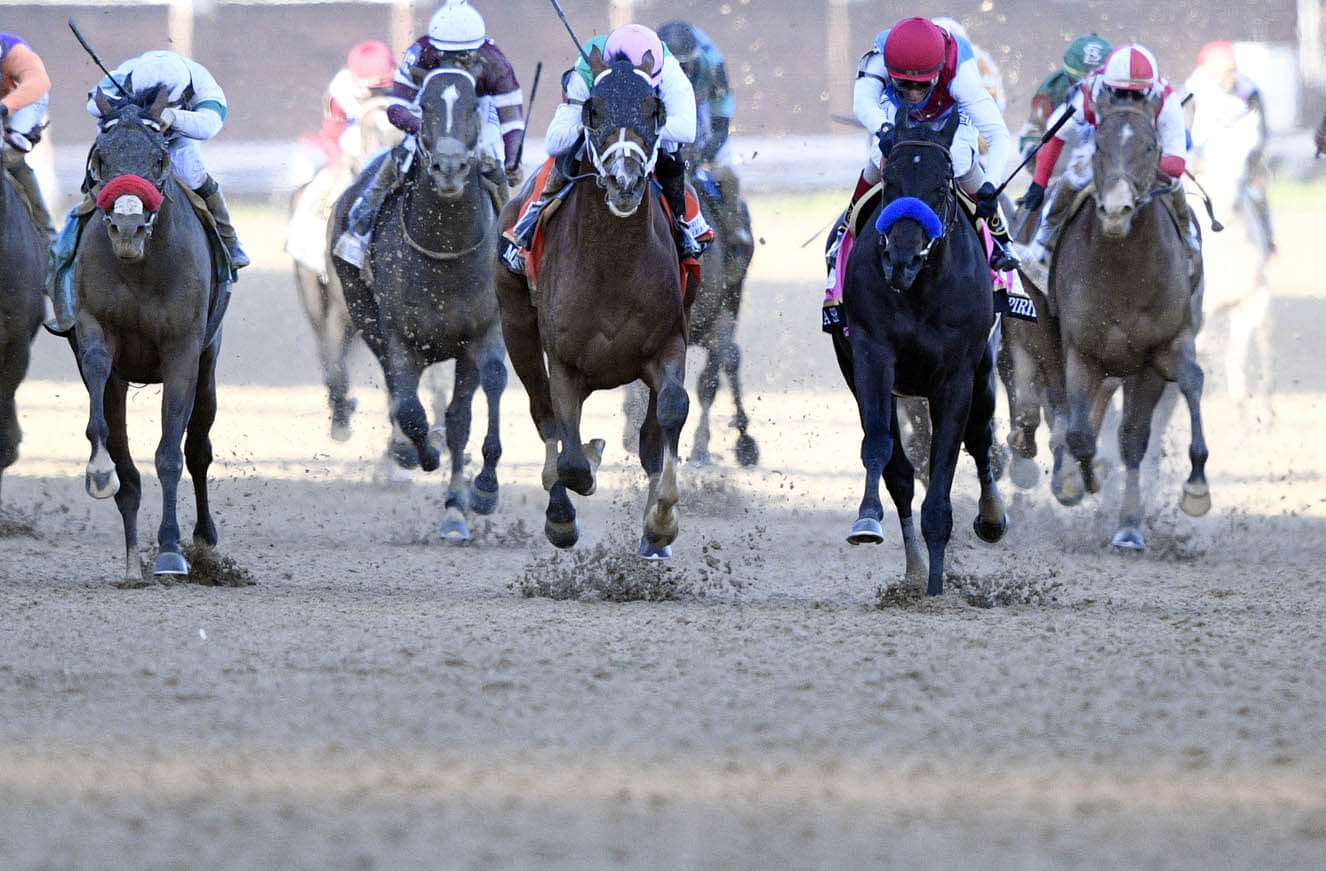 The field of horses running in the 147th Kentucky Derby.