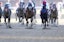 The field of horses running in the 147th Kentucky Derby.