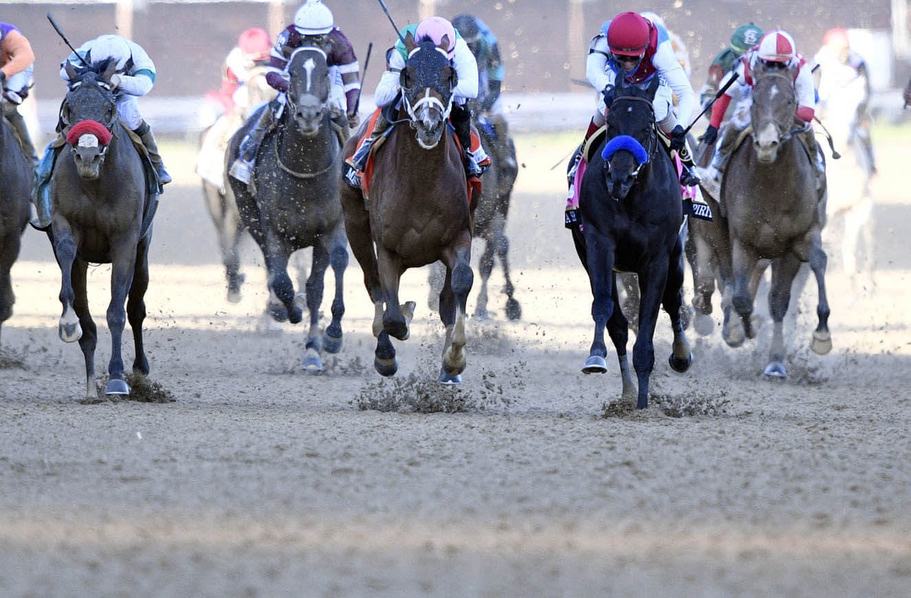 The field of horses running in the 147th Kentucky Derby.