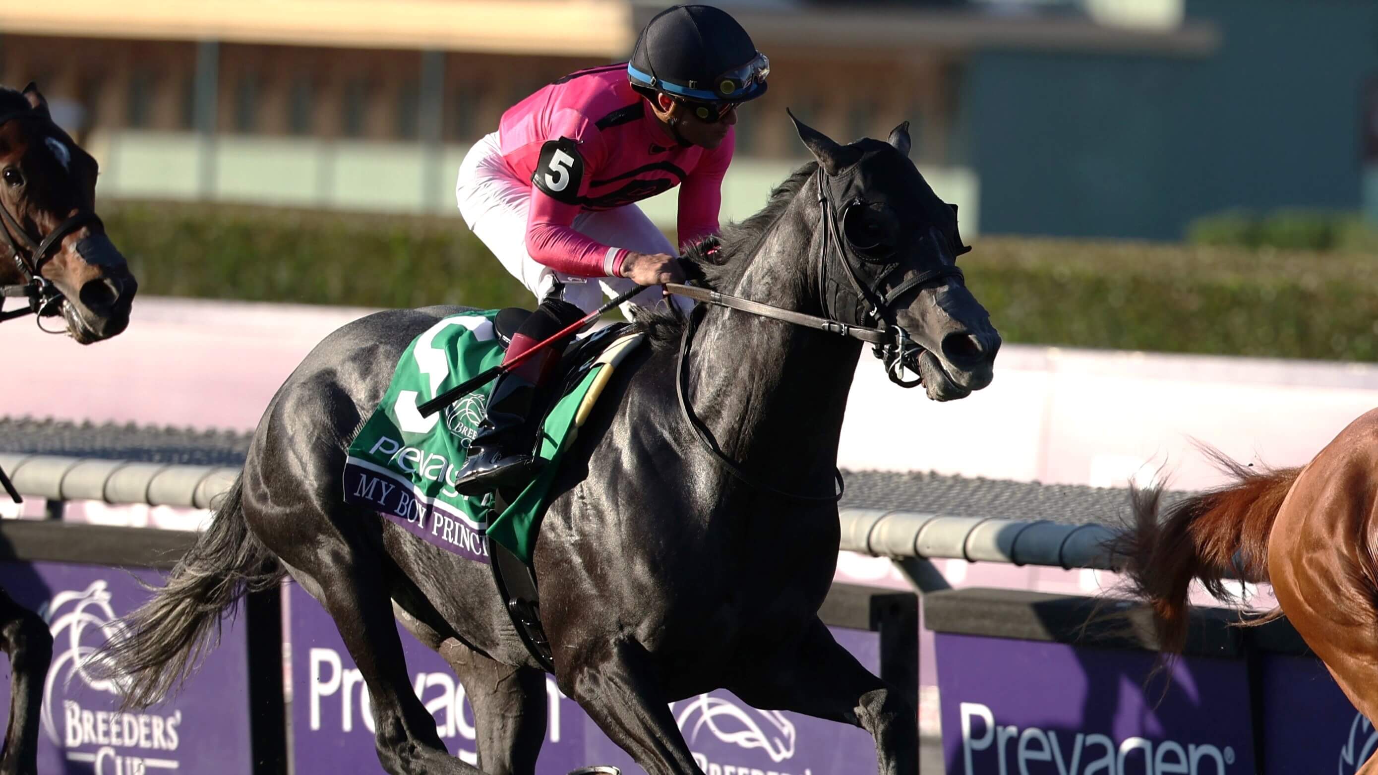 How To Bet - 2024 King’s Plate Picks & Best Bets: My Boy Prince Takes on 12 in Canadian Classic