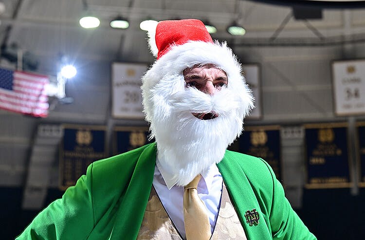 Notre Dame Leprechaun