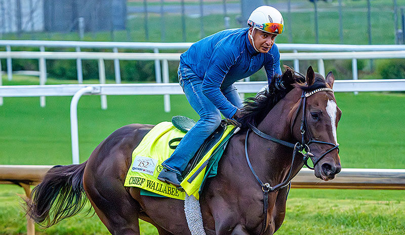 How To Bet - 2026 Kentucky Derby Picks: Exacta, Trifecta & Superfecta Best Bets