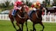 horse racing