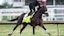 2025 Kentucky Derby Baeza horse racing