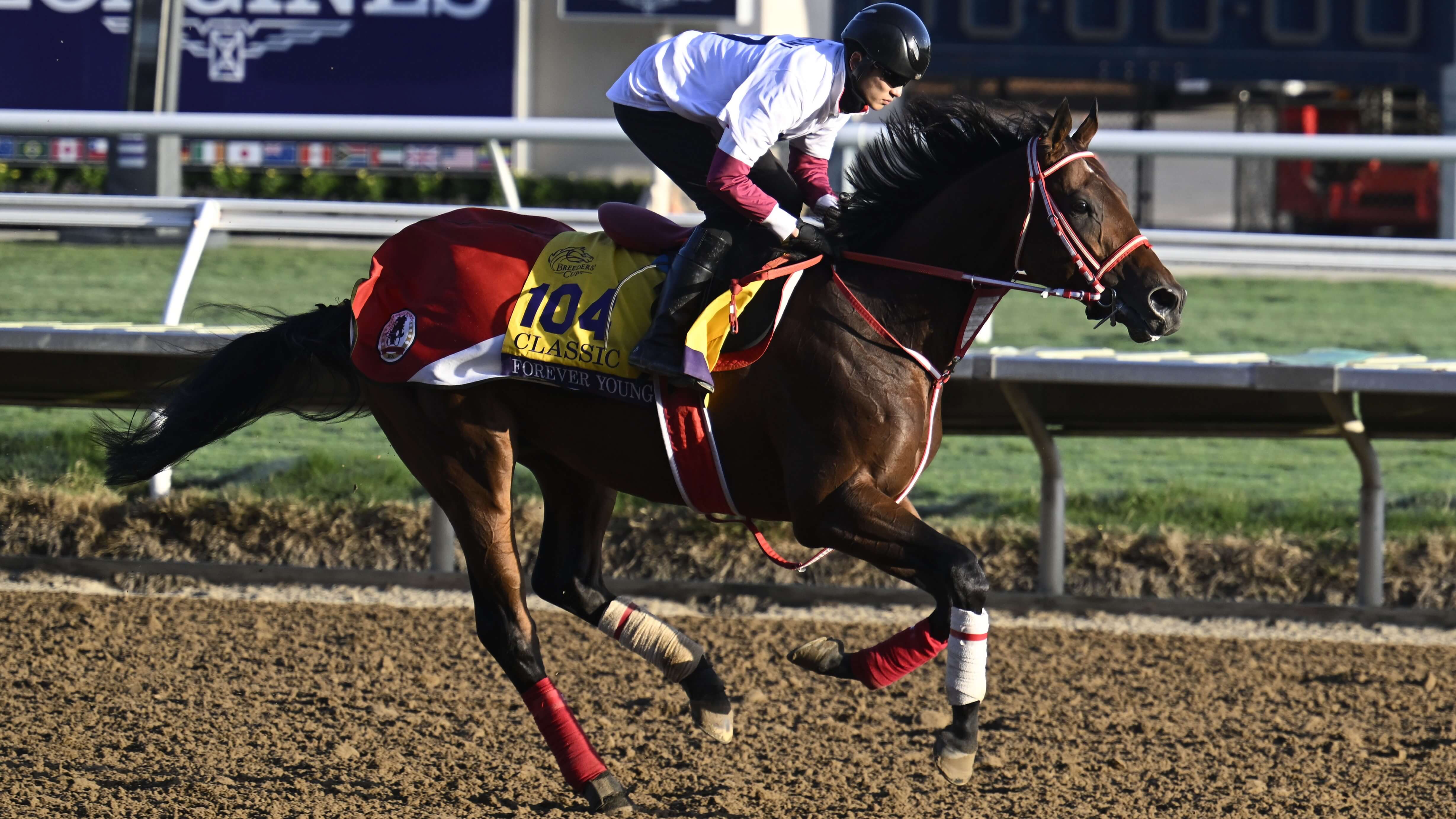 How To Bet - Breeders' Cup Predictions and Picks for Saturday: Filly & Mare Sprint, Classic