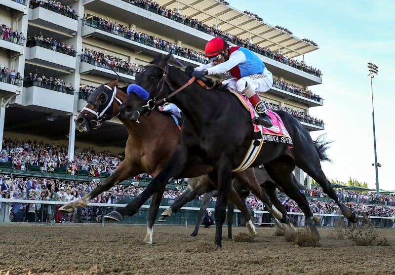 Preakness Stakes Horses 2021 Expert Ranks & Printable List