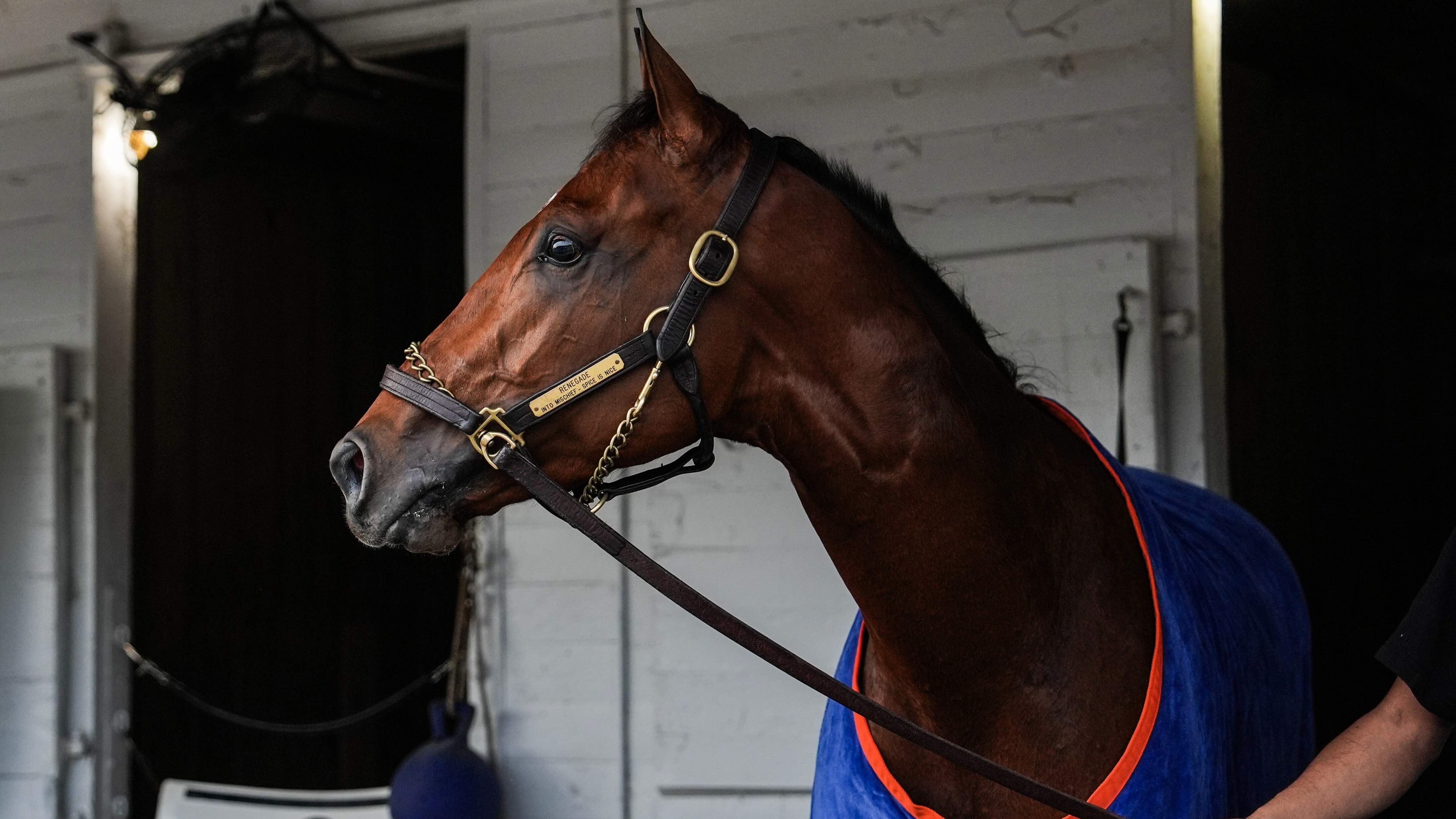 How To Bet - Latest Kentucky Derby Odds 2026: Renegade Favored at +400 Despite Drawing the Rail