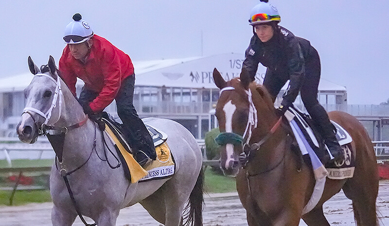 How To Bet - 2025 Preakness Stakes Payouts: Win, Place, Show Results