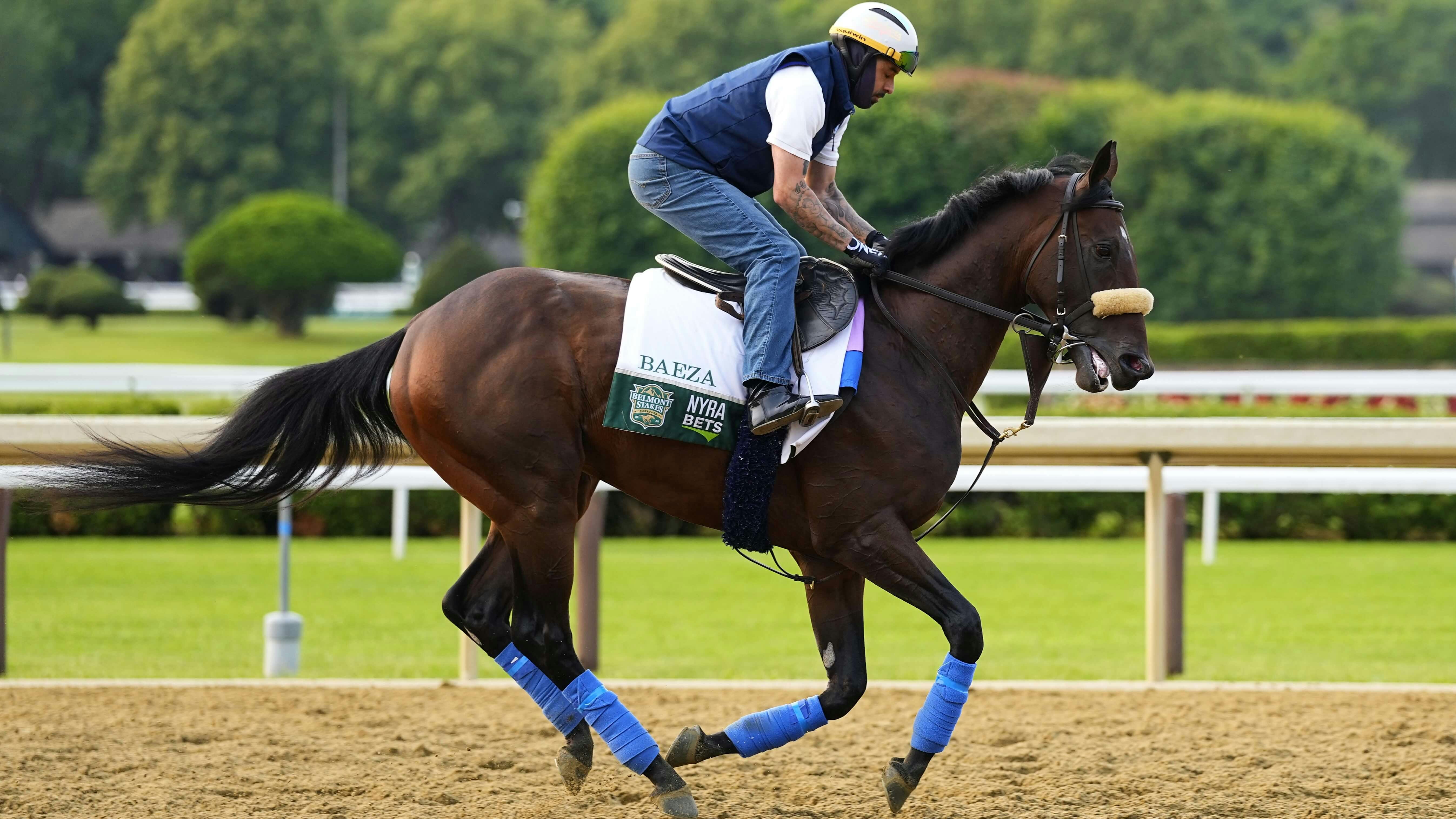 Road to the Breeders' Cup Picks & Best Bets for September 20: Pennsylvania Derby + Princess Rooney Stakes