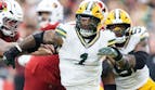Panthers vs Packers Predictions - Early Picks & Odds for Week 9
