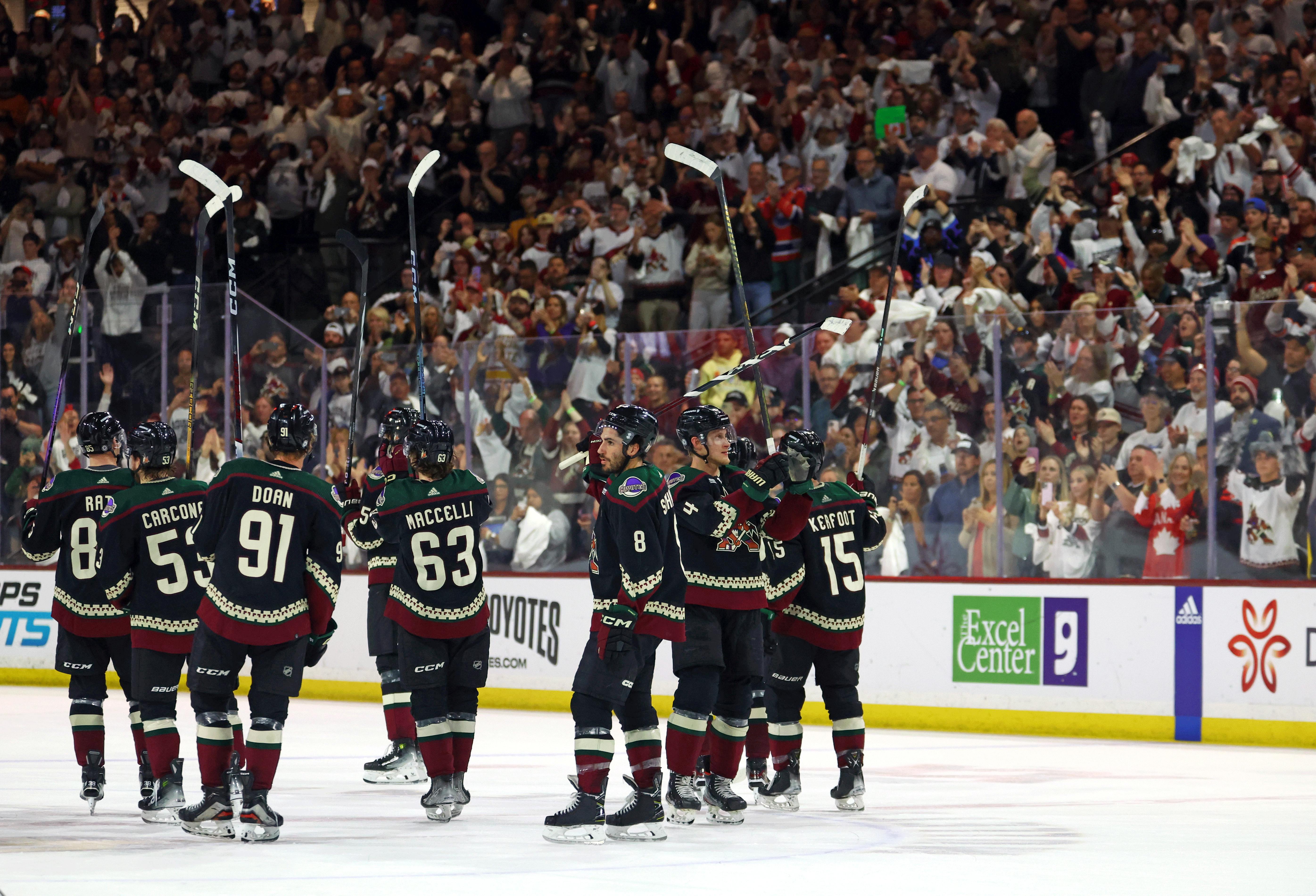 Arizona Coyotes