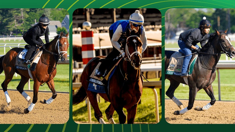 2026 Belmont Stakes Picks: Win, Place & Show Predictions Today