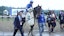 Belmont Stakes horse racing Sovereignty