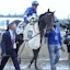 Belmont Stakes horse racing Sovereignty