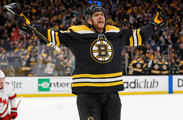 David Pastrnak Boston Bruins NHL