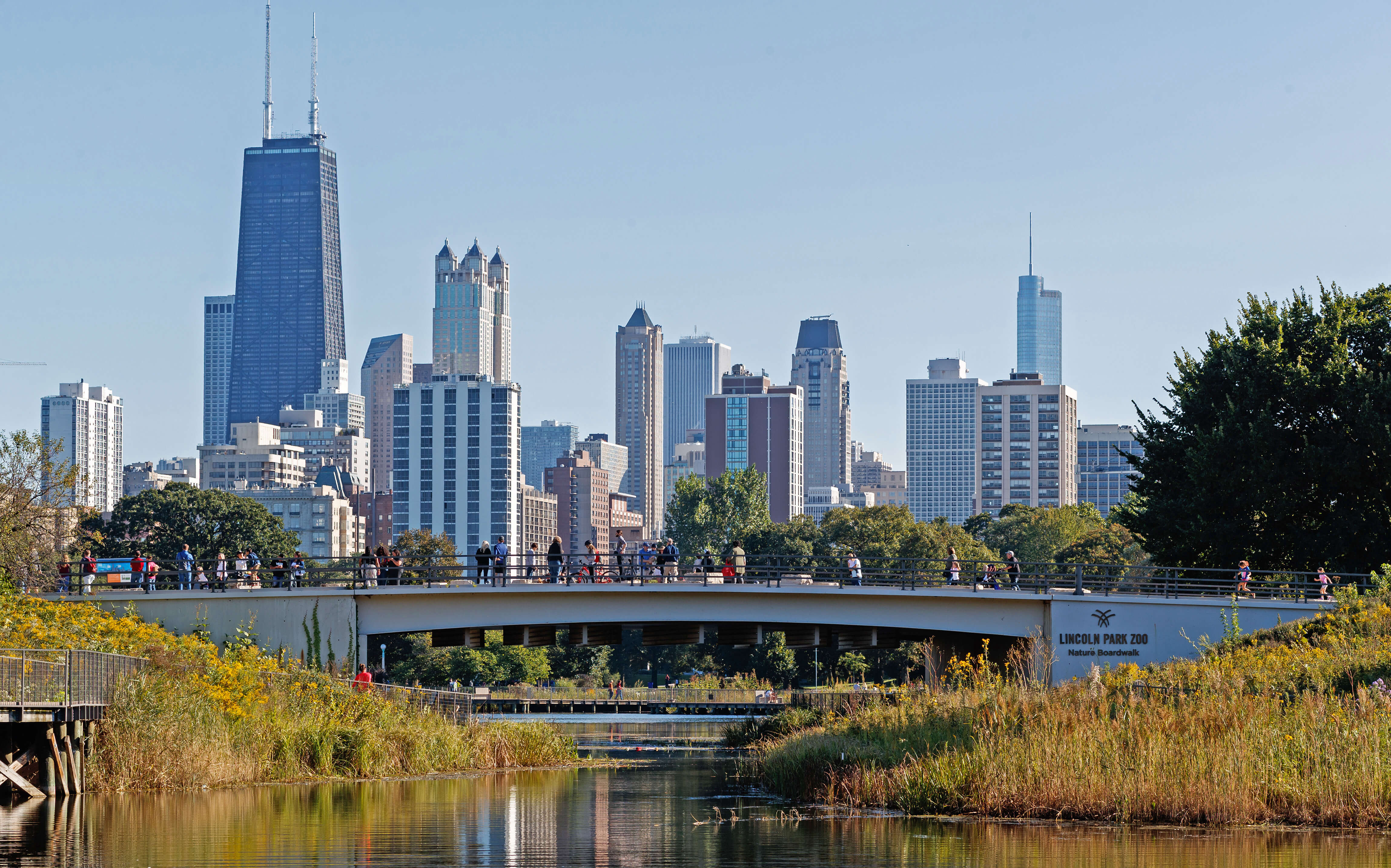 Chicago skyline