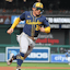 William Contreras Milwaukee Brewers MLB
