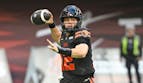 Elks vs Lions Prediction, Picks & Odds for CFL Week 20