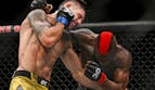 Vicente Luque vs Joel Alvarez Predictions, Picks & Odds