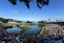 The 17th island green during the final round of The Players Championship golf tournament at TPC Sawgrass - Stadium Course in 2017. 