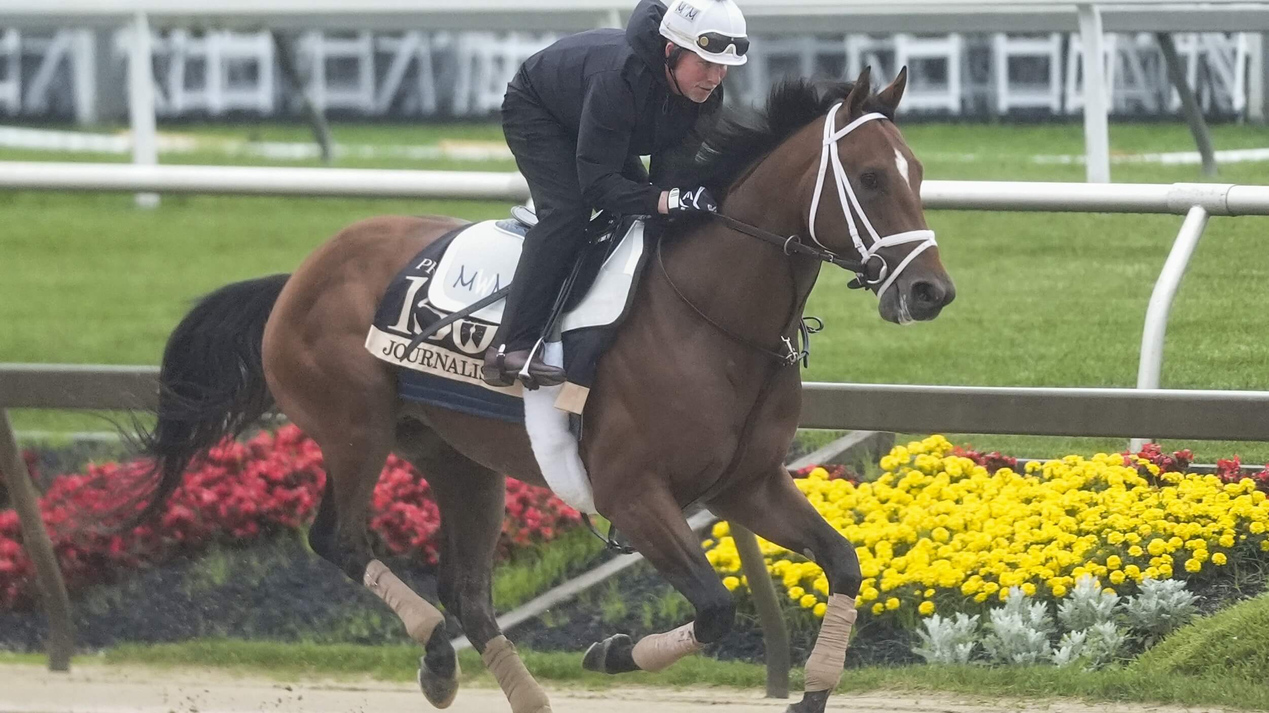 How To Bet - Preakness Stakes Trifecta, Superfecta & Exacta Picks for 2025