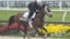 Preakness Stakes horse racing Journalism