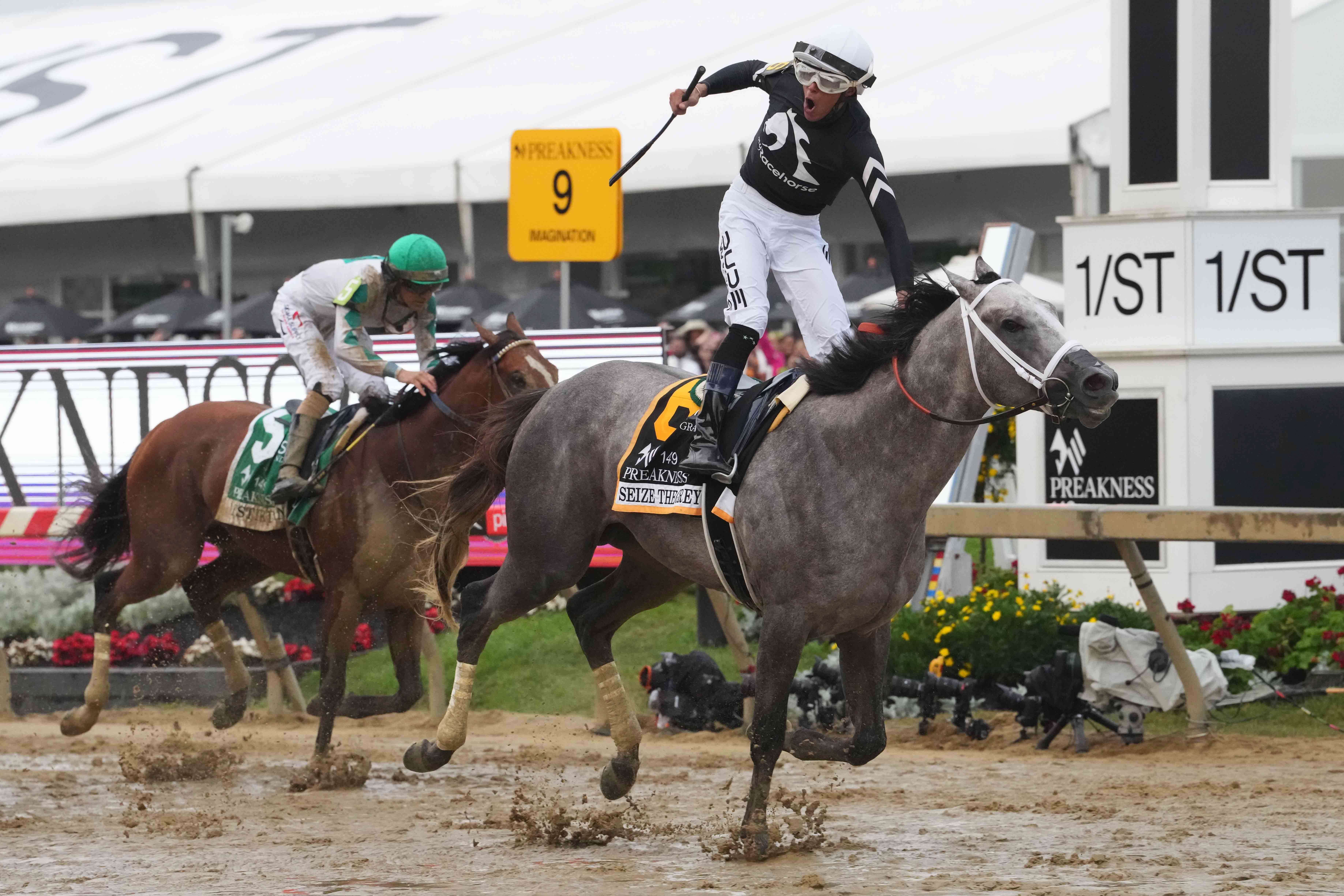 Seize the Grey Preakness Stakes Horse Racing 