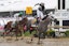 Seize the Grey Preakness Stakes Horse Racing 