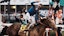Kentucky Derby horse racing Sovereignty