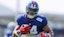 New York Giants tight end Theo Johnson (84) catches the ball.