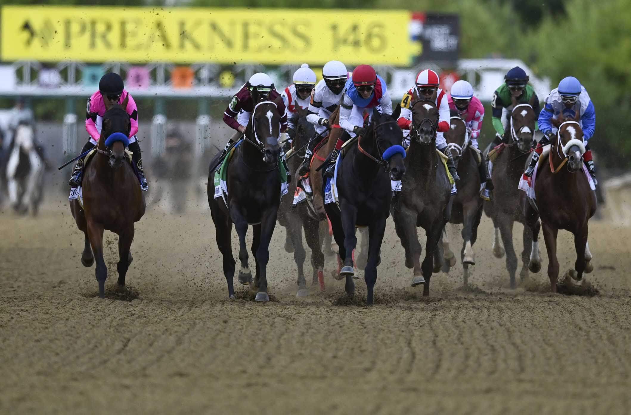 Horses break from the grate during the 146th running of the Preakness Stakes at Pimlico Race Course.
