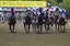 Preakness Horse Racing