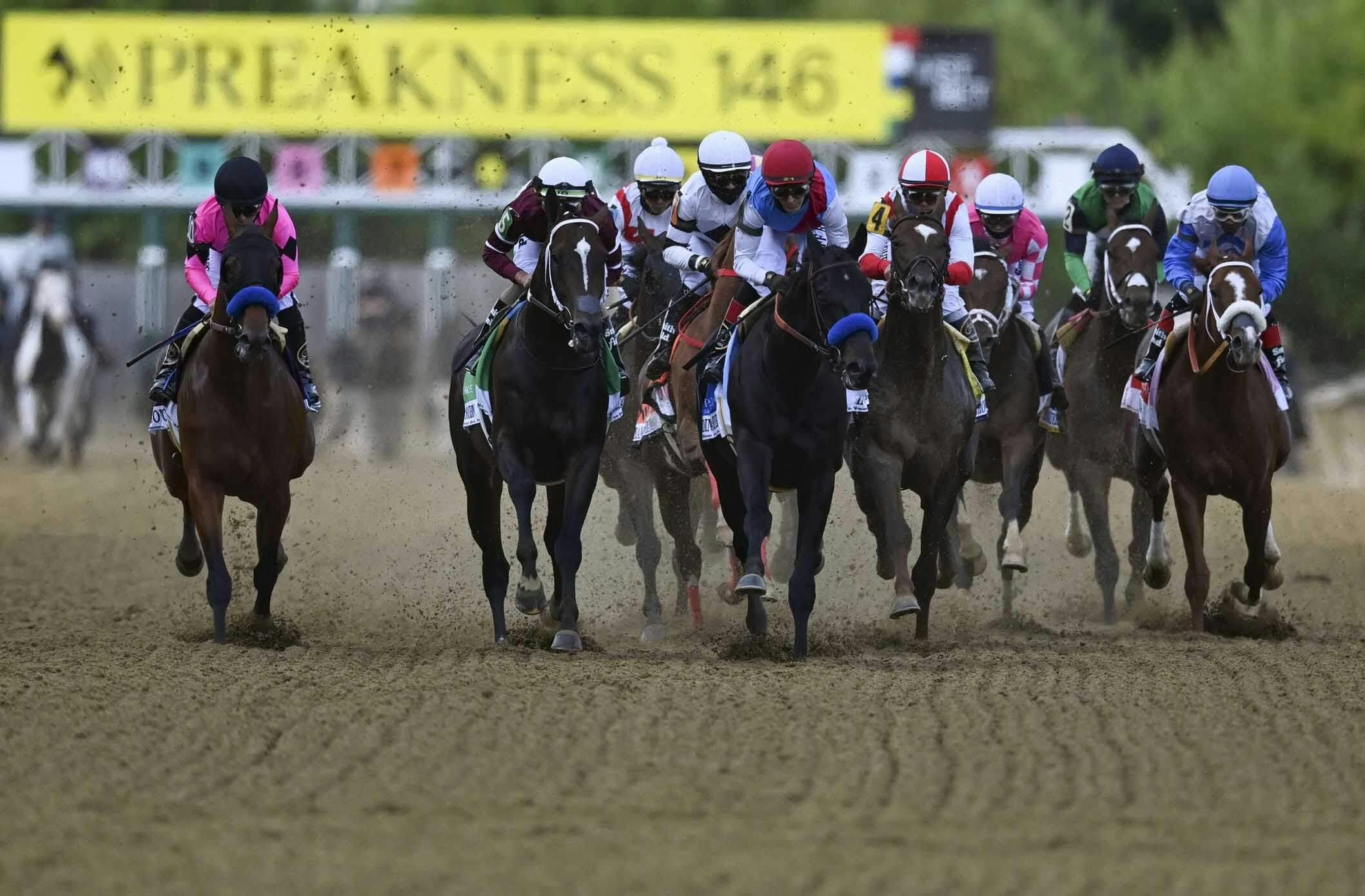 Preakness Horse Racing