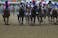 iders sprint towards turn one during the 146th running of the Preakness Stakes at Pimlico Race Course.